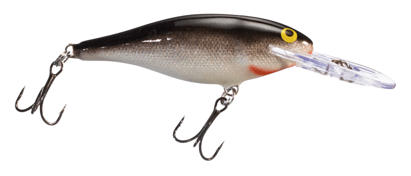 Rapala 2025 shad rap