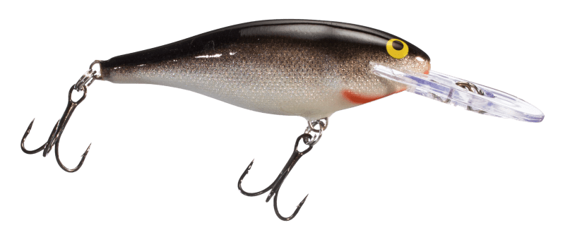 Rapala Shad Rap 05 Purpledescent