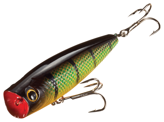 Bass Pro Shops Tourney Special Popper Cabela s