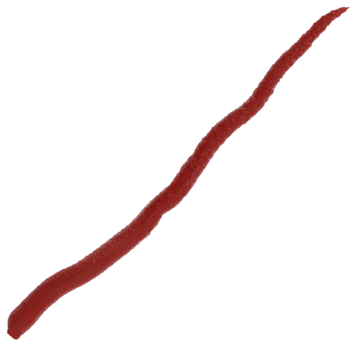 Berkley Gulp Bloodworm, Iridescent