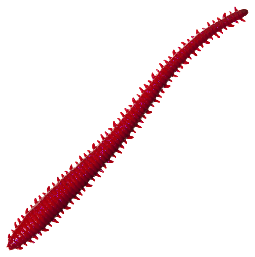  Berkley Gulp! Sandworm Camo, 6 Inch : Artificial
