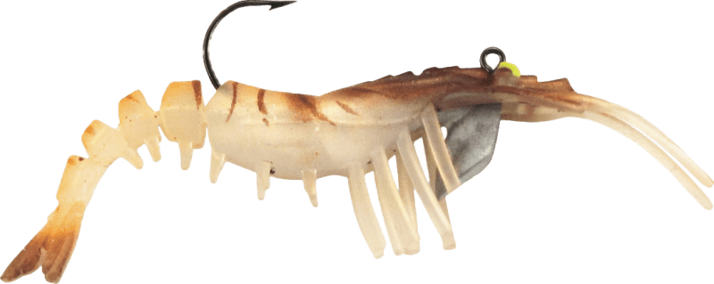 Vudu Shrimp rigged 2 pack – Rebel Fishing Alliance