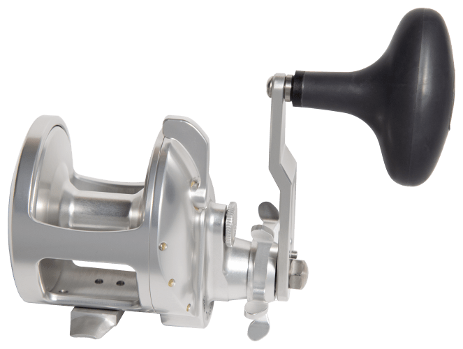 Accurate Tern2 Conventional Reel Bass Pro Shops