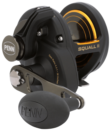 PENN Squall II Lever Drag Conventional Reel