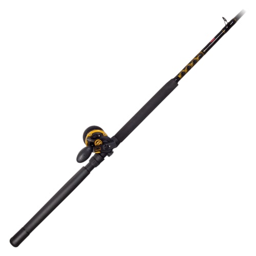 Saltwater rod and reel combos deals