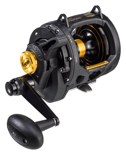 Penn on sale squall 50vsw