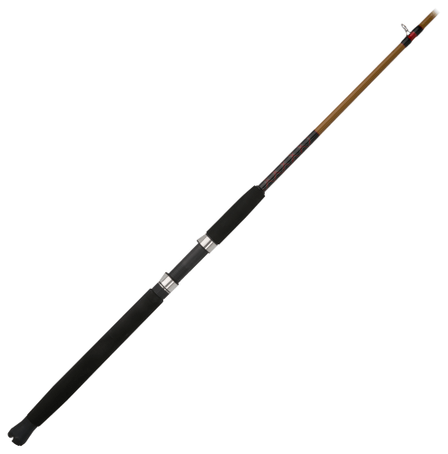 Ugly Stik Bigwater Boat CAST Conventional Rod