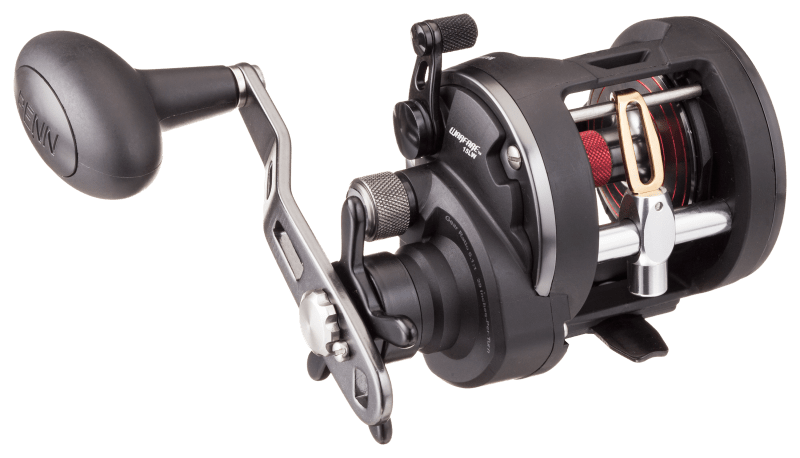 Penn Rival Level Wind Conventional Reel 15