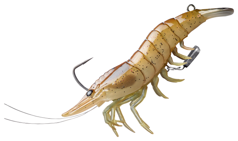 Realistic Fresh Water Shrimp