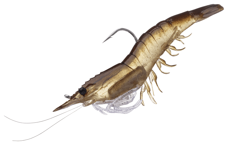 LIVETARGET Shrimp
