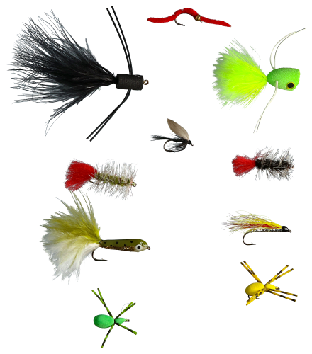 Cabelas flies sale