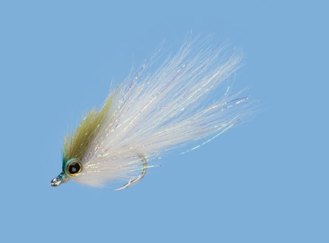 Rainy s Bush Pig Fly Bass Pro Shops