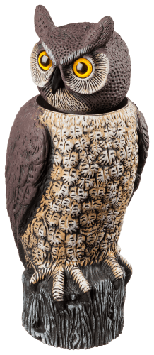 Buy Sea Owl Split Pant