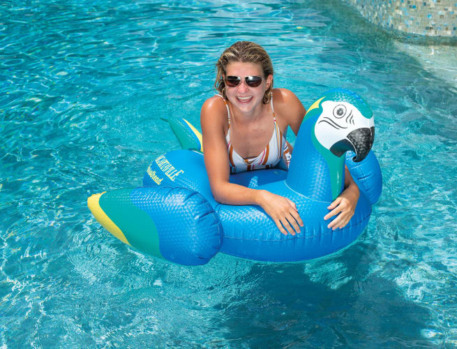 Cabelas lounger shop