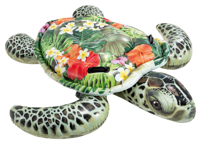 Intex sea turtle best sale