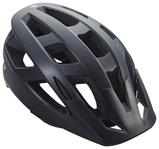 Schwinn best sale radiant helmet