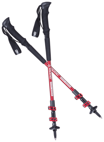 Bass pro walking stick best sale