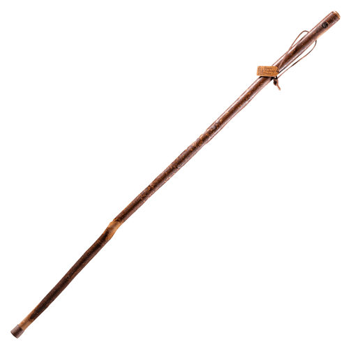 Brazos Free Form American Hardwood Wood Walking Stick 41 Inch