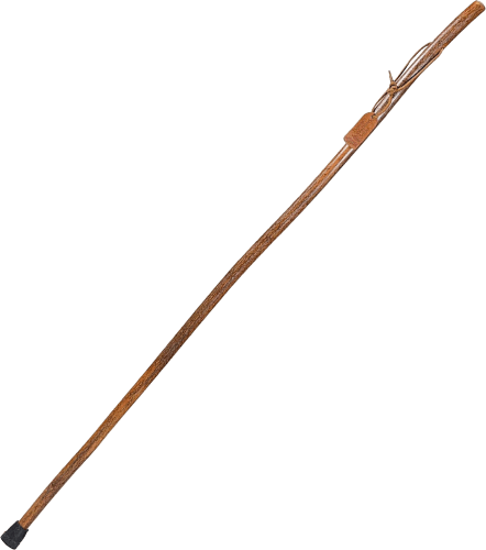 Bass pro walking stick hot sale