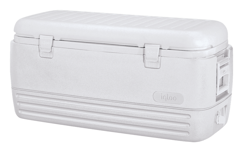 Igloo Coolers  Polar 120 Qt Cooler-White