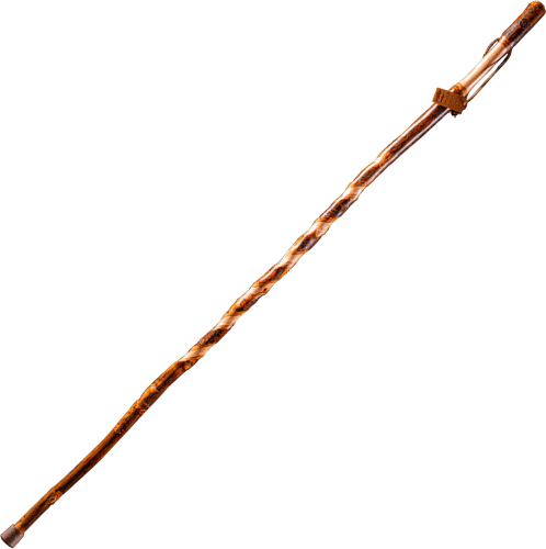 Cabela's hiking sticks store