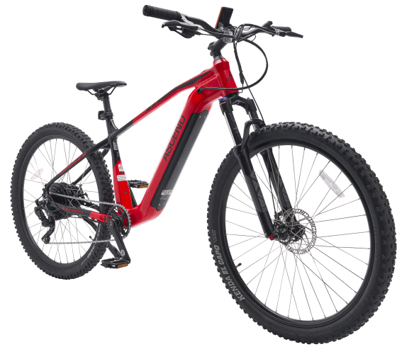 Bass 2025 pro bikes