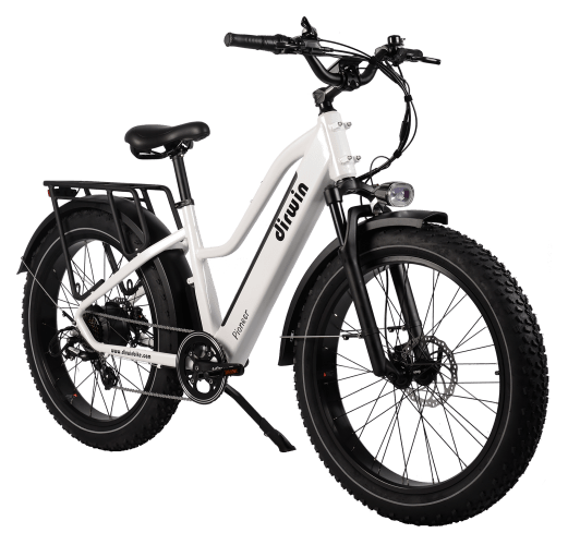 Bass pro shops electric bikes new arrivals