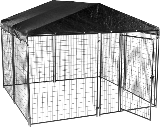 Bass kennels online