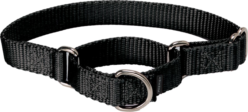 Petsafe martingale collar deals