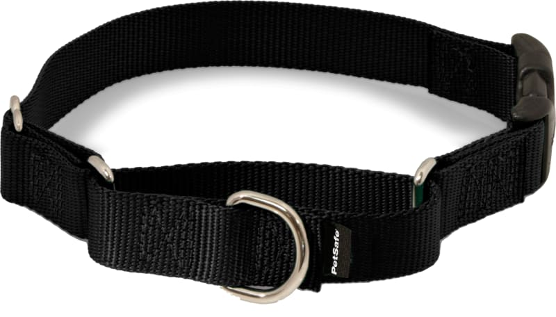 PetSafe Martingale Quick Snap Collar Red Medium