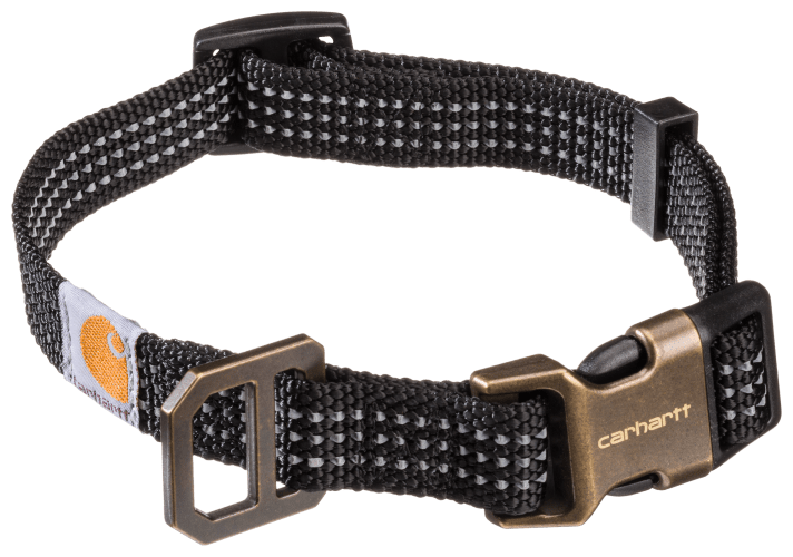 Bass pro new arrivals bark collar