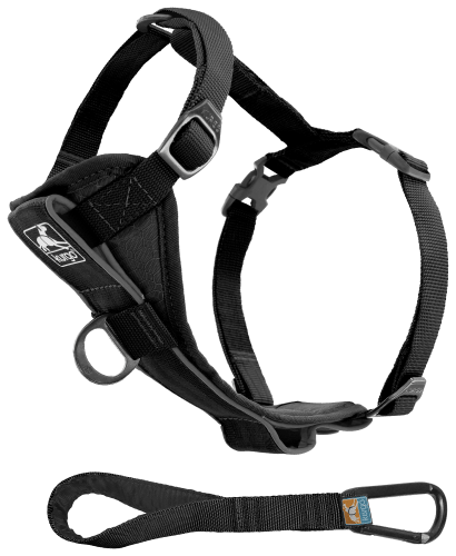 Quick release dog harness sales