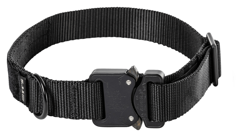 Bass pro dog collars clearance