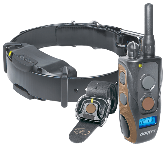 Shock collar bass pro hot sale