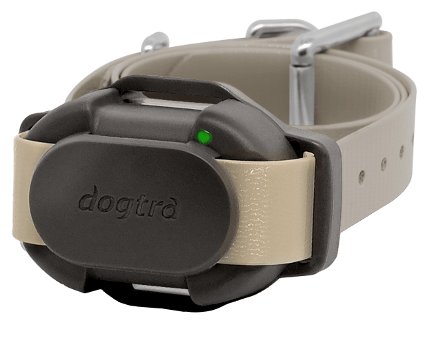 Dogtra Additional CUE E Collar for Dogs