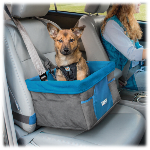 Petco kurgo harness 2025