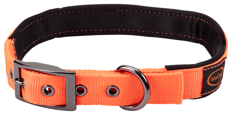 Cabela's dog collars discount