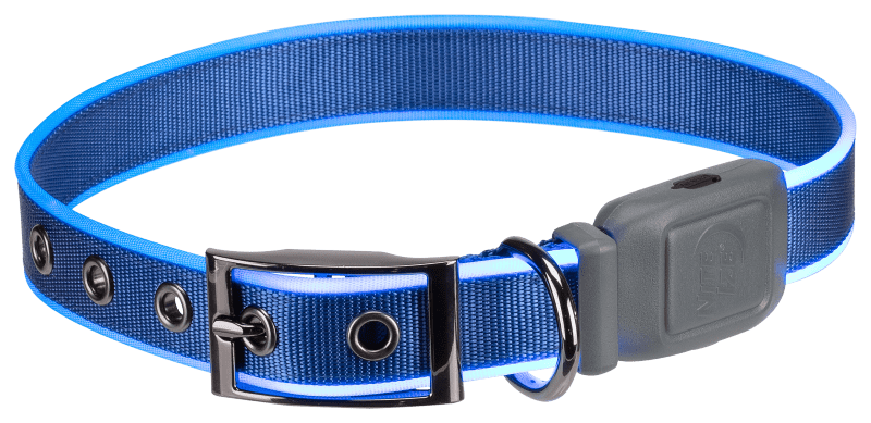 Cabelas dog collar outlet