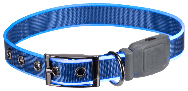 Nite Ize NiteDog Rechargeable LED Collar Blue Large