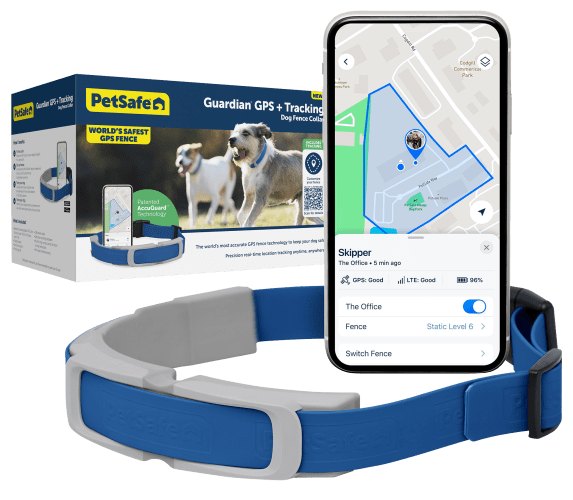 Cabelas gps dog collar 2025
