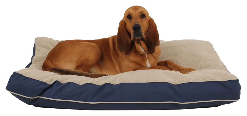 Bass pro dog sales beds