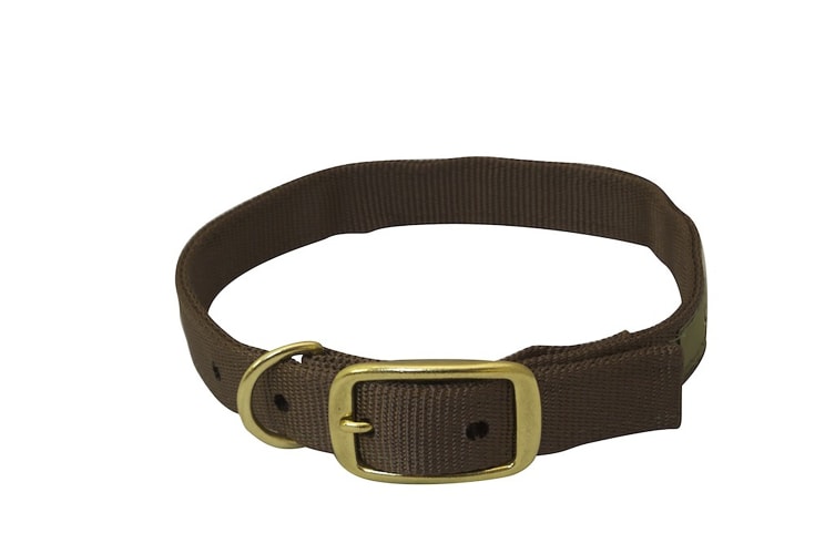 Drake Waterfowl Gun Dog Collar
