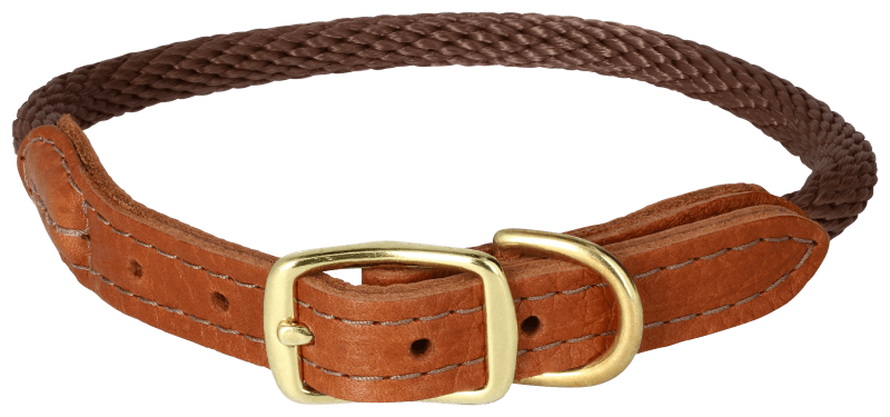 Bass pro dog collars clearance