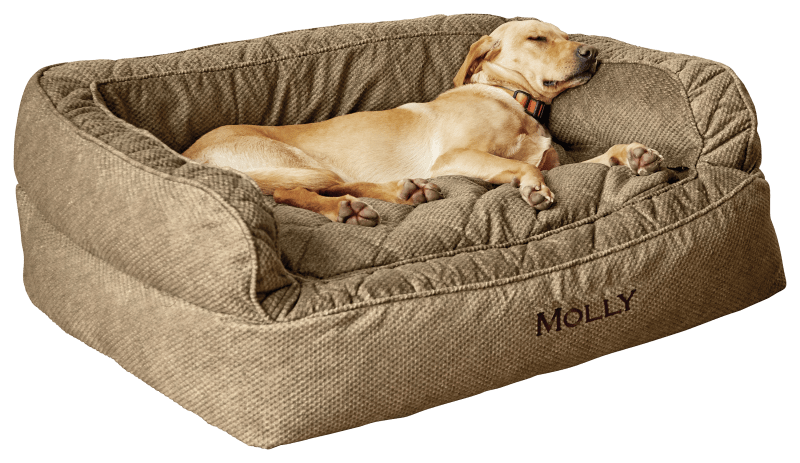 Orvis dog online couch