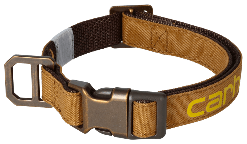 Bass pro shop dog collars discount