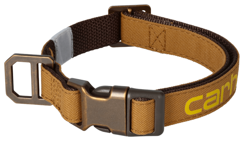 Carhartt dog clearance collar girl