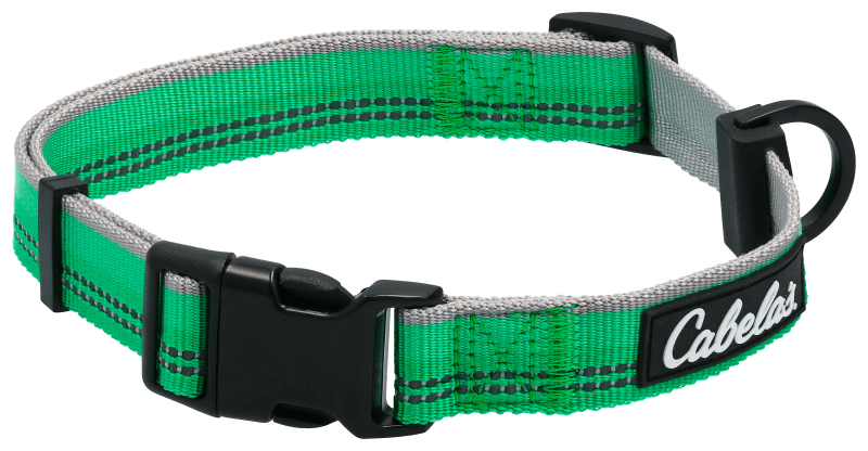 Hi vis dog collar 2025