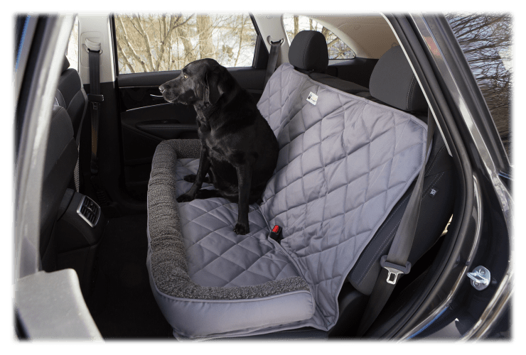 Car interior dog protection online