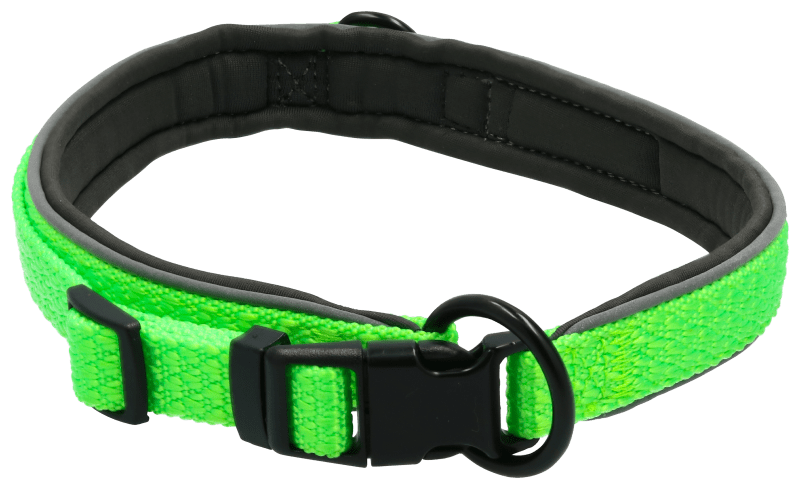 Cabela's dog collars hot sale