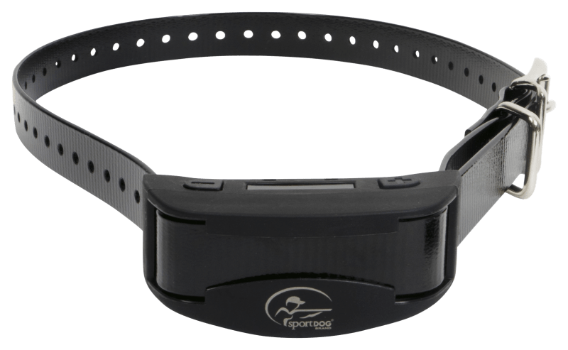Bass pro shop dog collars discount